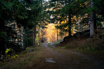 colorful mountain landscapes, fall colors, mountains, sky and water