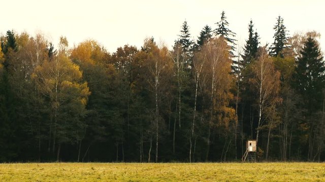 Hunt tower near the forest. Autumn