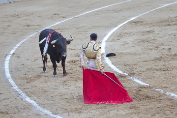 Bullfighting