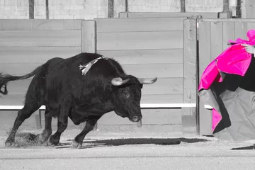 Fotobehang Bullfight © vdvtut