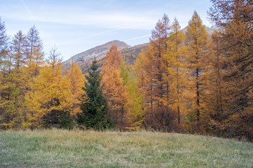 Fototapeta premium colorful mountain landscapes, fall colors, mountains, sky and water