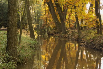 Rzeka jesienią. - obrazy, fototapety, plakaty