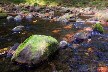 Moss on the rock in a river in autumn, Guriezo, Cantabria, Spain