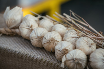 Plait Of Fake Decorative Garlic Laying On Piece  Cloth