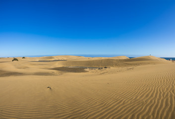 Dunes of Maspalomas