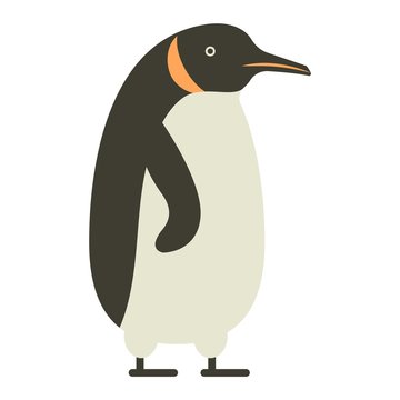 Emperor penguin cute anima