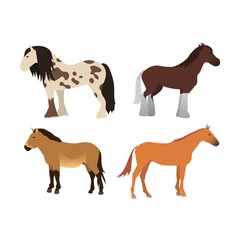 Horse vector isolated animal.