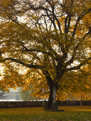 Kampa Island, autumn landscape, Prague, Czech Republic