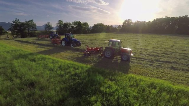 Three tractors are raking hay on a huge field. They are working in three separate lanes and there is a lot of work that needs to be done. Wide-angle shot.
