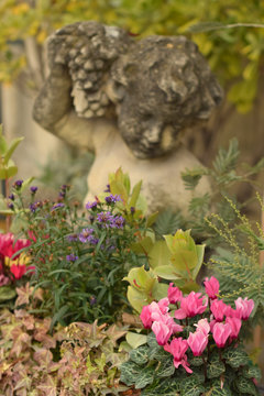 Flowers in the French park. Violets, ivy, wild grapes and antique sculpture
