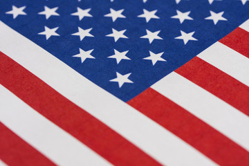 Obraz premium Flag of the USA.Election 2016