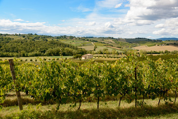 Fototapeta na wymiar Landschaft nahe Siena tenuta di monaciano