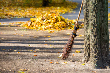 Cleaning in the autumn park