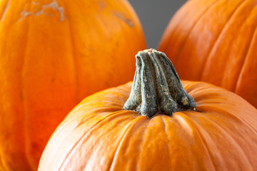 Close-up of three ripe pumpkins