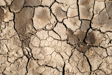 Close-up of scorched earth.