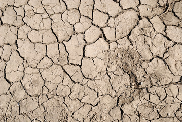 Background of scorched earth.