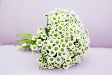 Wedding bouquet of chrysanthemum