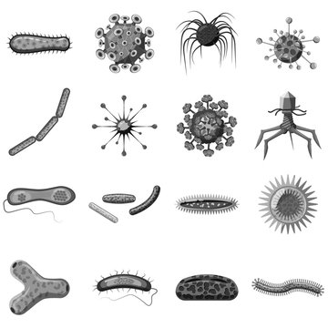 Virus icons set. Gray monochrome illustration of 16 virus vector icons for web