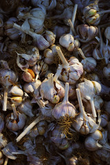 Garlic cloves