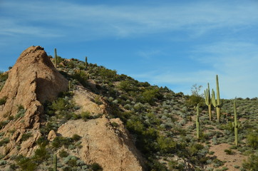 Fototapeta na wymiar Canyon Lake & Superstition Mountains, Arizona
