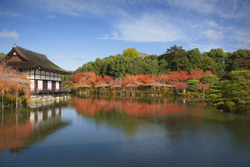 Fototapeta na wymiar Big lake in japanese garden