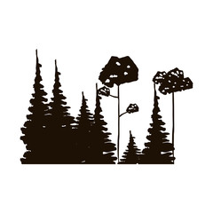 monochrome forest with pines and leafy trees vector illustration