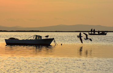 Fishing boat on the sea at sunset. Seagulls flying on the sea.