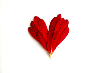 A heart made from red flower petals on a white background.