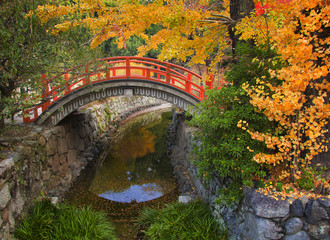 Colorful japanese autumn