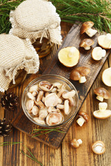 Pickled and fresh mushrooms