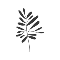 gray scale small leaves olive vector illustration