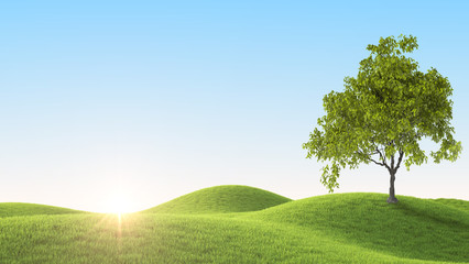 Green field. 3D rendering