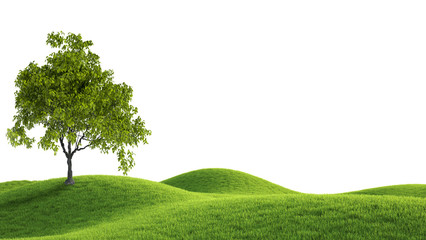 Green field. 3D rendering
