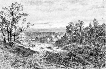 1852 Exhibition of Painting, Landscape, vintage engraving. - obrazy, fototapety, plakaty