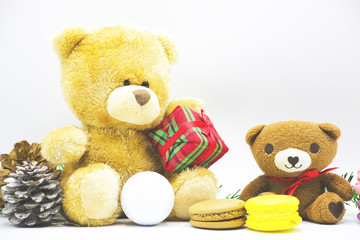 Bear is holding Christmas present on white background