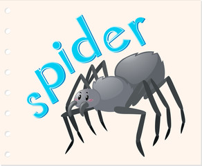 Animal word card with spider