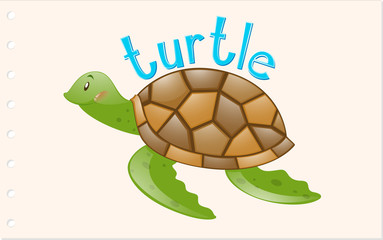 Animal word card with turtle