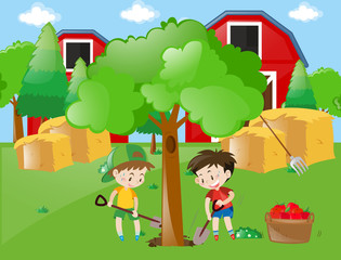 Two boys planting big tree in garden