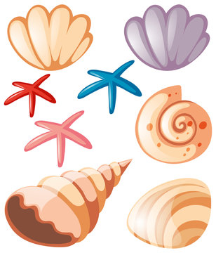 Ocean set with seashells and starfish