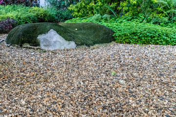 Green plants with gravel and rock