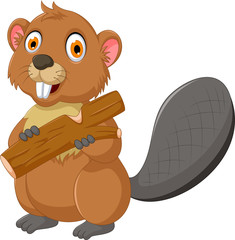 cute beaver cartoon eating wood © jihane37