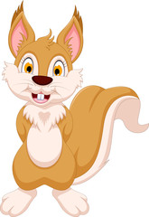 happy squirrel cartoon posing