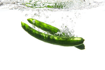 きゅうり　しずる感