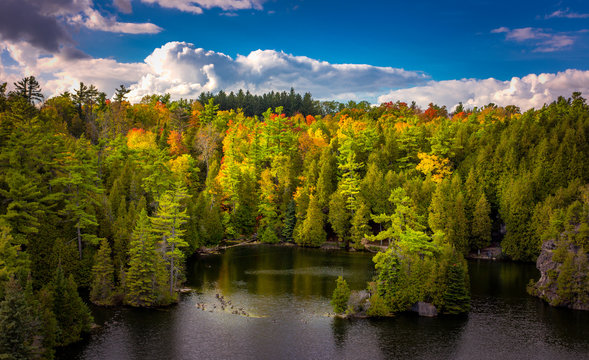 Resting Spot At Framosa River