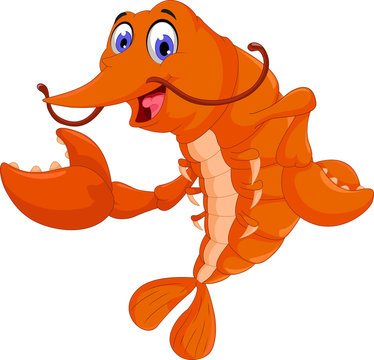 cute shrimp cartoon posing
