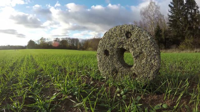 Ancient millstone in young wheat field on sunny cloudy autumn day by the forest, time lapse 4K