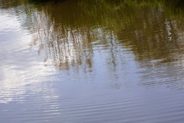 Obraz na płótnie Canvas Trees reflection on the lake