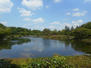 Fototapeta na wymiar 昭和記念公園－水鳥の池