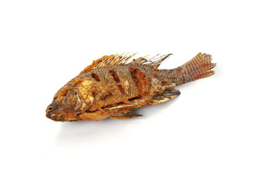 Fried Tilapia fish fried isolated on white background