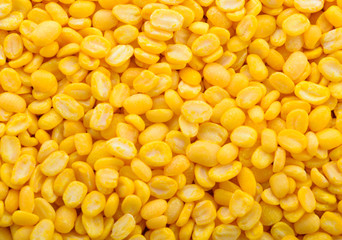 Bean yellow background